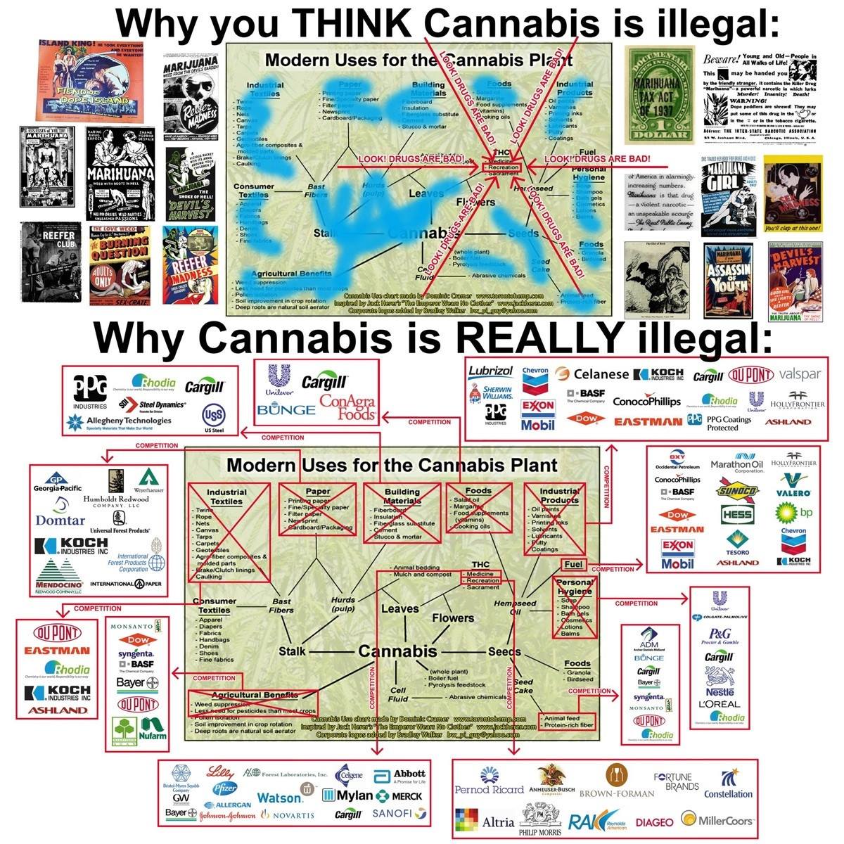 Why Marijuana is REALLY illegal